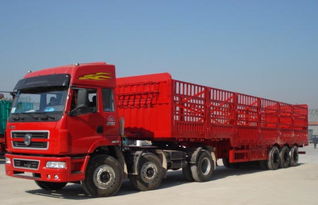 富陽到西藏那曲貨運專線 專業(yè)貨物代理，運價合理高效