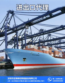 北京進出口報關(guān)代理公司 解析藍海駱駝的出口報關(guān)代理服務