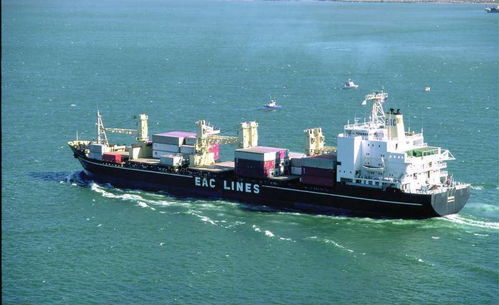 專業(yè)高效，上海易馳貨運助您輕松實現(xiàn)國際海運